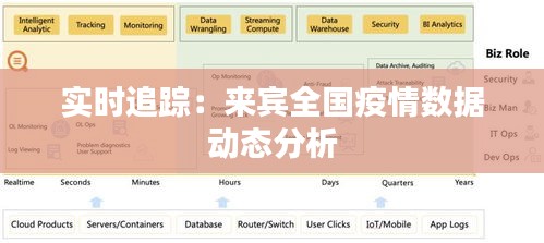 实时追踪：来宾全国疫情数据动态分析