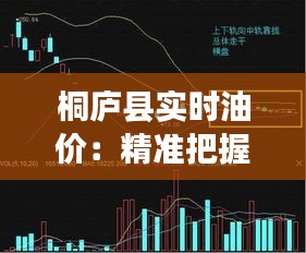 桐庐县实时油价：精准把握市场脉搏