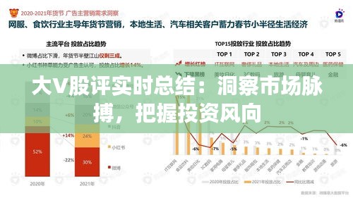 大V股评实时总结：洞察市场脉搏，把握投资风向