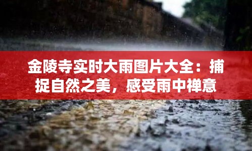 金陵寺实时大雨图片大全：捕捉自然之美，感受雨中禅意