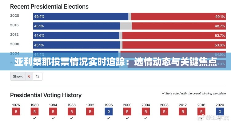 亚利桑那投票情况实时追踪：选情动态与关键焦点