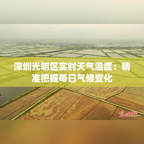 深圳光明区实时天气温度：精准把握每日气候变化