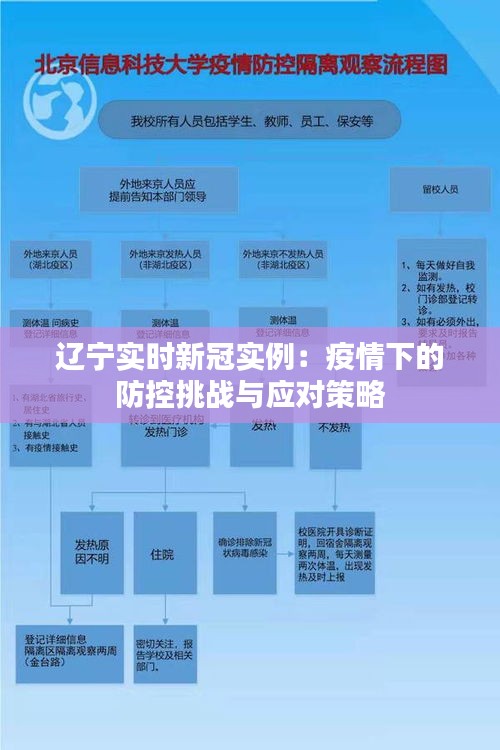 辽宁实时新冠实例：疫情下的防控挑战与应对策略