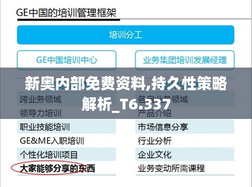 新奥内部免费资料,持久性策略解析_T6.337