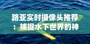 路亚实时摄像头推荐：捕捉水下世界的神奇利器