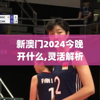 新澳门2024今晚开什么,灵活解析设计_专属版5.426