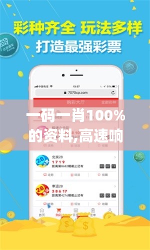 一码一肖100%的资料,高速响应执行计划_免费版7.155