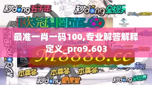 最准一肖一码100,专业解答解释定义_pro9.603