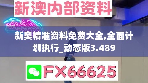 新奥精准资料免费大全,全面计划执行_动态版3.489