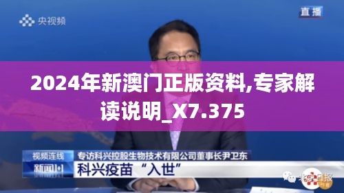 2024年新澳门正版资料,专家解读说明_X7.375