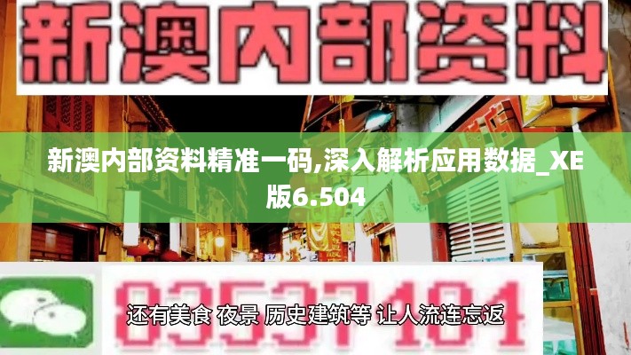 新澳内部资料精准一码,深入解析应用数据_XE版6.504