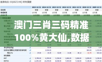 澳门三肖三码精准100%黄大仙,数据导向执行解析_专属版10.440