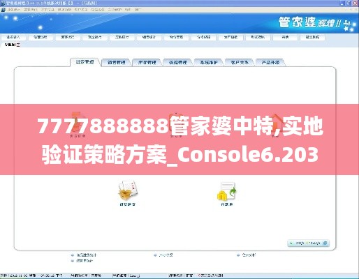 7777888888管家婆中特,实地验证策略方案_Console6.203