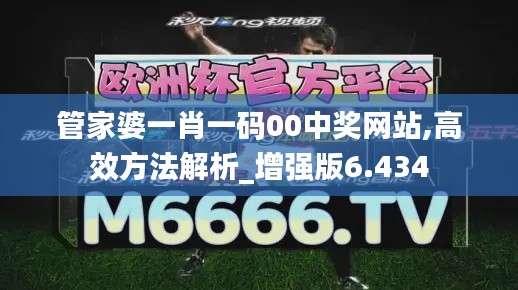 管家婆一肖一码00中奖网站,高效方法解析_增强版6.434