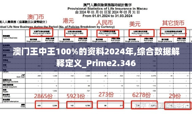 澳门王中王100%的资料2024年,综合数据解释定义_Prime2.346