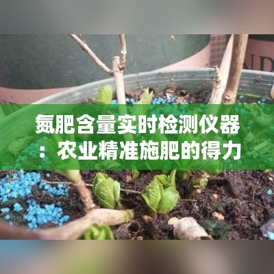 氮肥含量实时检测仪器：农业精准施肥的得力助手