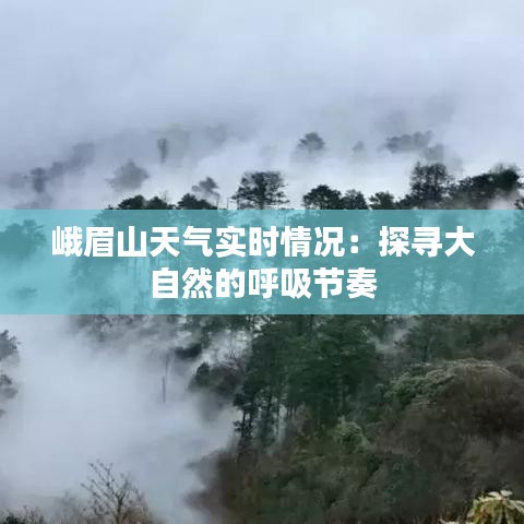 峨眉山天气实时情况：探寻大自然的呼吸节奏