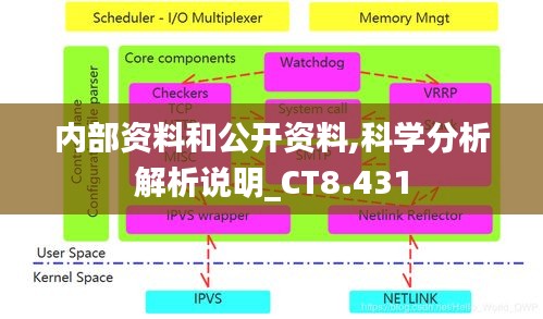 内部资料和公开资料,科学分析解析说明_CT8.431