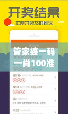 管家婆一码一肖100准,合理决策执行审查_P版8.610