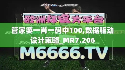 管家婆一肖一码中100,数据驱动设计策略_MR7.206