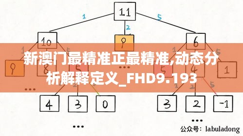 新澳门最精准正最精准,动态分析解释定义_FHD9.193