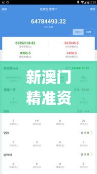 新澳门精准资料大全管家婆料,实地数据分析计划_创意版17.740