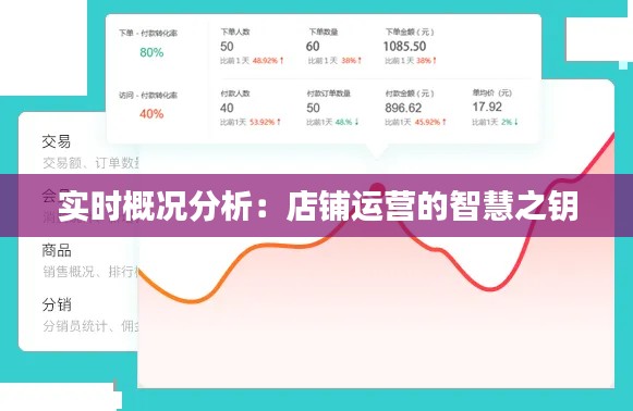 实时概况分析：店铺运营的智慧之钥