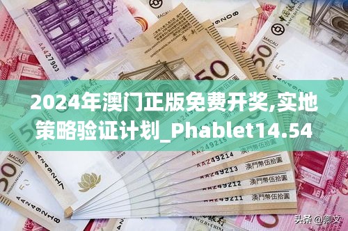 2024年澳门正版免费开奖,实地策略验证计划_Phablet14.546