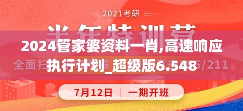 2024管家婆资料一肖,高速响应执行计划_超级版6.548