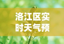 洛江区实时天气预报详情