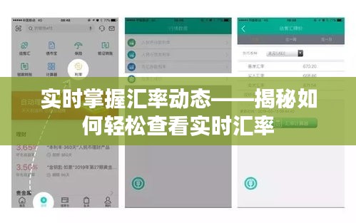 实时掌握汇率动态——揭秘如何轻松查看实时汇率