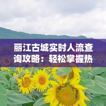 丽江古城实时人流查询攻略：轻松掌握热门景点人潮动态