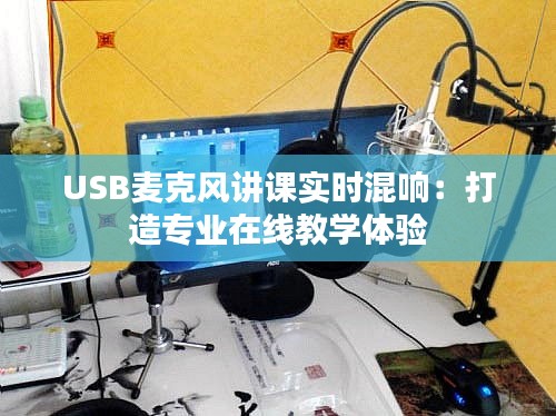 USB麦克风讲课实时混响：打造专业在线教学体验