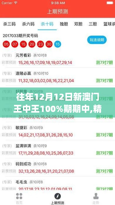 往年12月12日新澳门王中王100%期期中,精准解答解释定义_X3.366