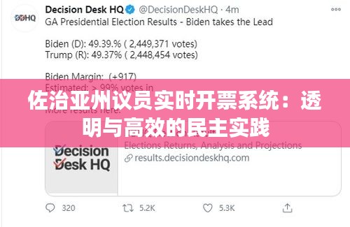 佐治亚州议员实时开票系统：透明与高效的民主实践