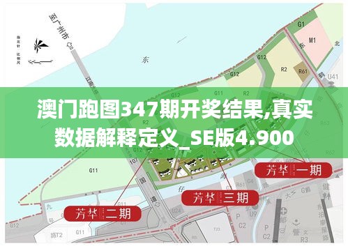 澳门跑图347期开奖结果,真实数据解释定义_SE版4.900