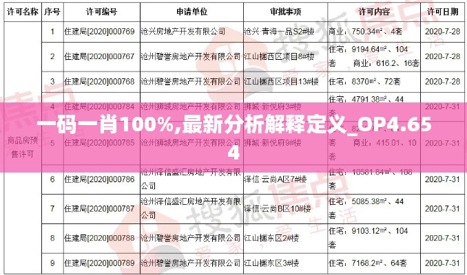 一码一肖100%,最新分析解释定义_OP4.654