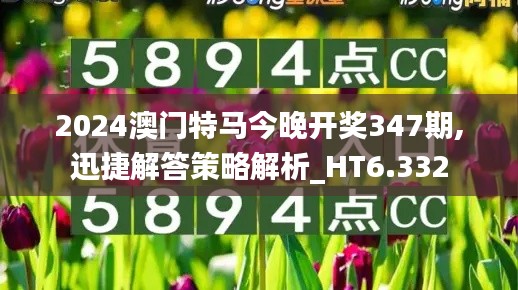 2024澳门特马今晚开奖347期,迅捷解答策略解析_HT6.332