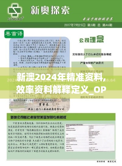 新澳2024年精准资料,效率资料解释定义_OP1.215