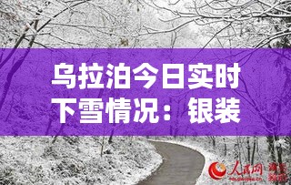 乌拉泊今日实时下雪情况：银装素裹，美景如画