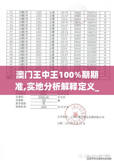 澳门王中王100%期期准,实地分析解释定义_专家版8.490