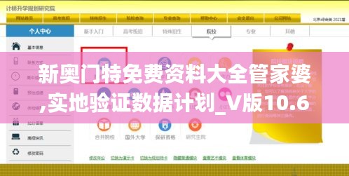 新奥门特免费资料大全管家婆,实地验证数据计划_V版10.608