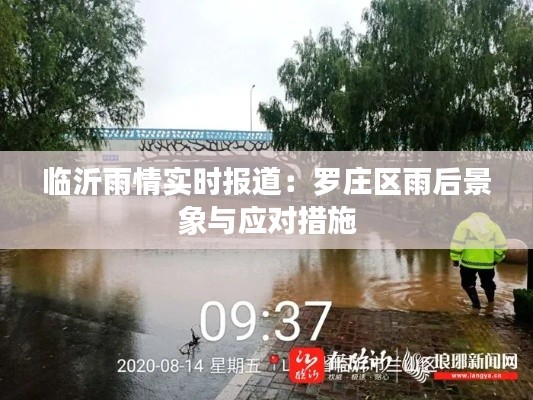 临沂雨情实时报道：罗庄区雨后景象与应对措施