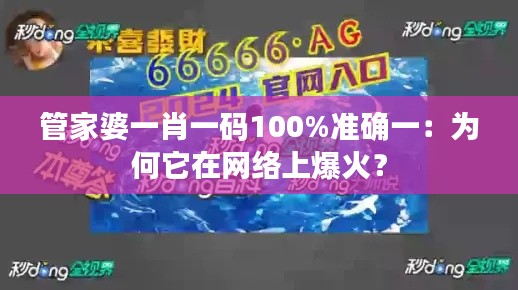 管家婆一肖一码100%准确一：为何它在网络上爆火？