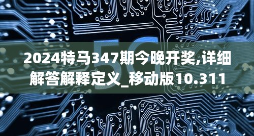 2024特马347期今晚开奖,详细解答解释定义_移动版10.311