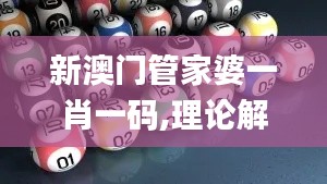 新澳门管家婆一肖一码,理论解答解释定义_app8.853