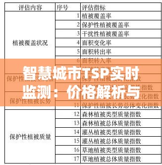 智慧城市TSP实时监测：价格解析与价值评估