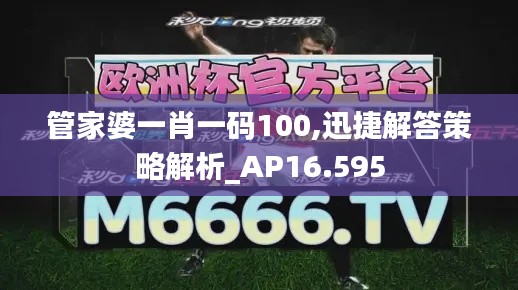 管家婆一肖一码100,迅捷解答策略解析_AP16.595