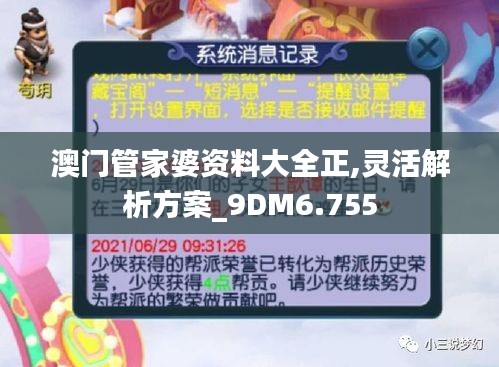 澳门管家婆资料大全正,灵活解析方案_9DM6.755