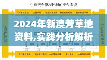 2024年新澳芳草地资料,实践分析解析说明_YE版3.506